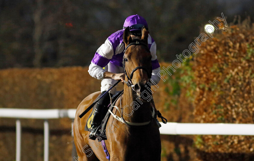 Pacifist-0001 
 PACIFIST (Neil Callan)
Kempton 11 Dec 2024 - Pic Steven Cargill / Racingfotos.com