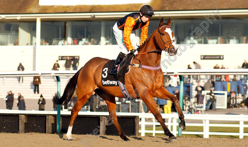 Big-Country-0001 
 BIG COUNTRY (Luke Morris)
Lingfield 2 Feb 2019 - Pic Steven Cargill / Racingfotos.com