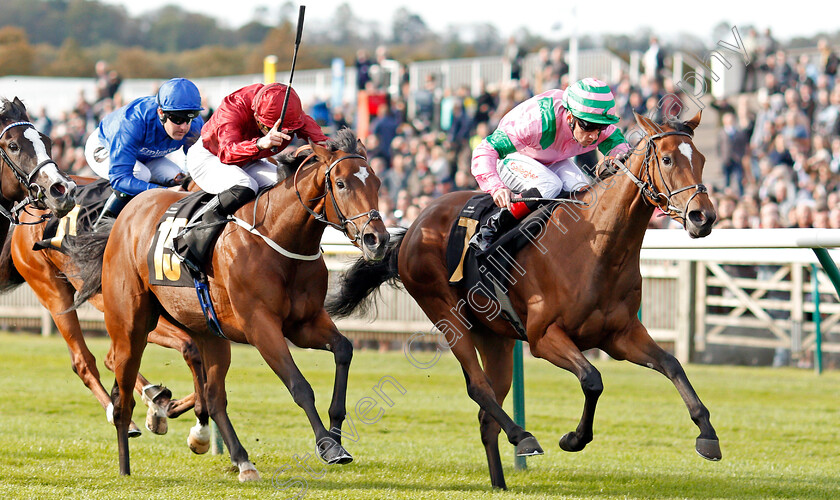 Lady-Lynetta-0005 
 LADY LYNETTA (right, Shane Kelly) beats SUNSET KISS (left) in The Blandford Bloodstock Maiden Fillies Stakes
Newmarket 28 Sep 2019 - Pic Steven Cargill / Racingfotos.com