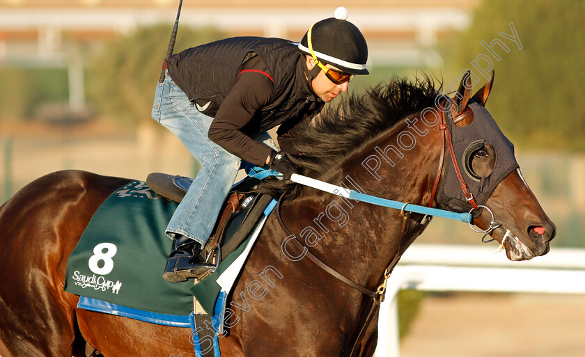 Midnight-Bourbon-0003 
 MIDNIGHT BOURBON training for The Saudi Cup
King Abdulaziz Racetrack, Riyadh, Saudi Arabia 22 Feb 2022 - Pic Steven Cargill / Racingfotos.com