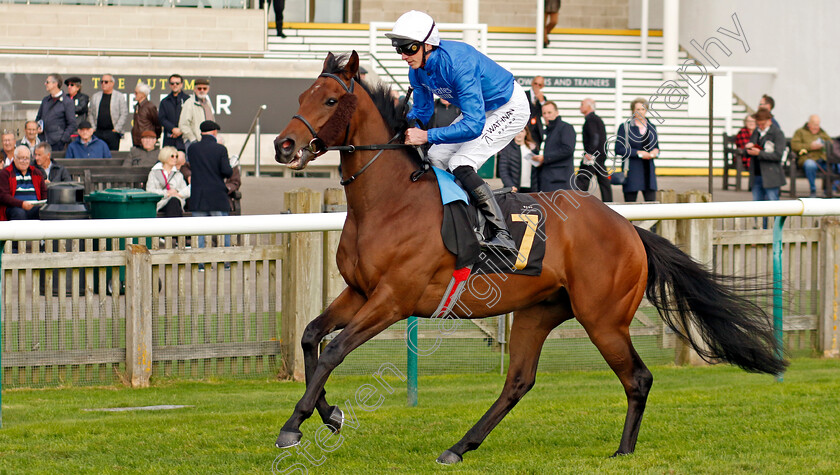 Tremorgio-0007 
 TREMORGIO (James Doyle) winner of The Boodles Maiden Stakes
Newmarket 23 Oct 2024 - Pic Steven Cargill / Racingfotos.com