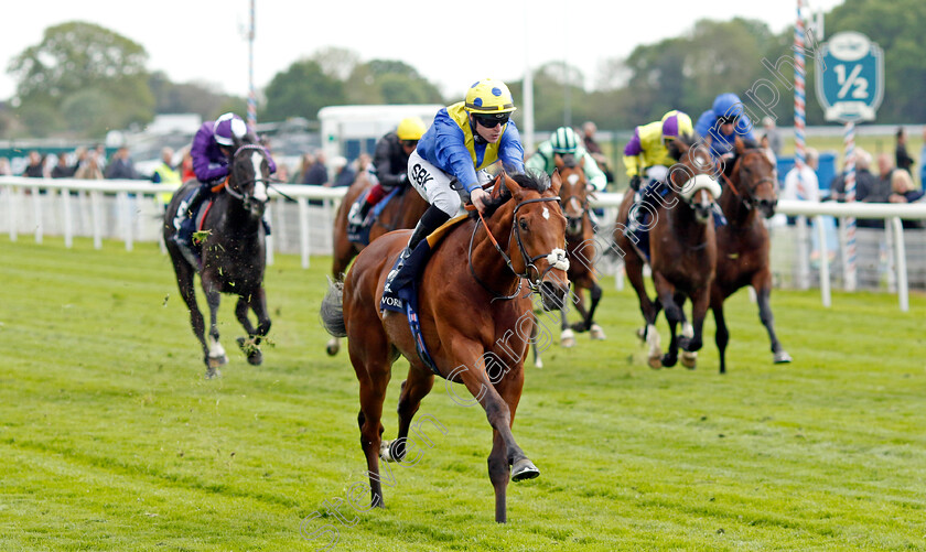 Desert-Crown-0003 
 DESERT CROWN (Richard Kingscote) wins The Al Basti Equiworld Dubai Dante Stakes
York 12 May 2022 - Pic Steven Cargill / Racingfotos.com