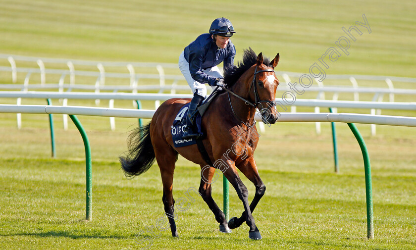 Gustav-Klimt-0001 
 GUSTAV KLIMT (Seamie Heffernan) Newmarket 5 May 2018 - Pic Steven Cargill / Racingfotos.com