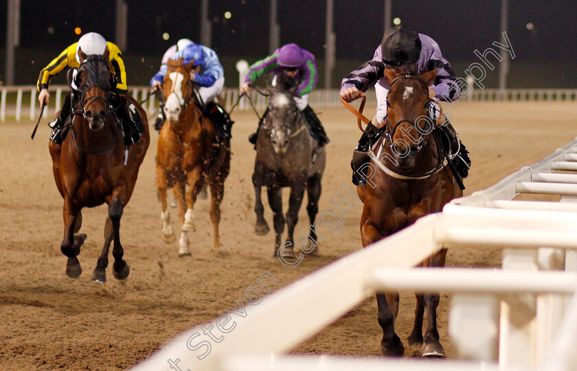 Asdaa-0004 
 ASDAA (Joe Fanning) wins The Bet toteexacta At totesport.com Handicap
Chelmsford 11 Jan 2020 - Pic Steven Cargill / Racingfotos.com