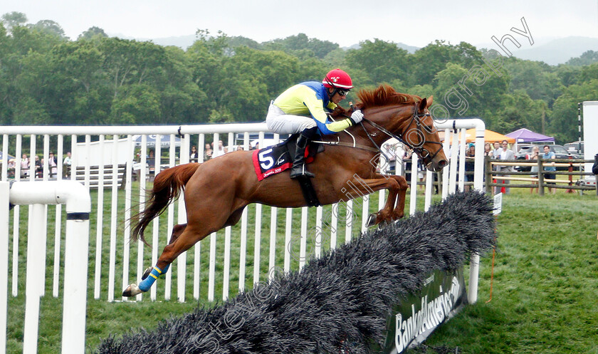 Jaleo-0001 
 JALEO (Willie McCarthy)
Percy Warner Park, Nashville USA, 11 May 2019 - Pic Steven Cargill / Racingfotos.com