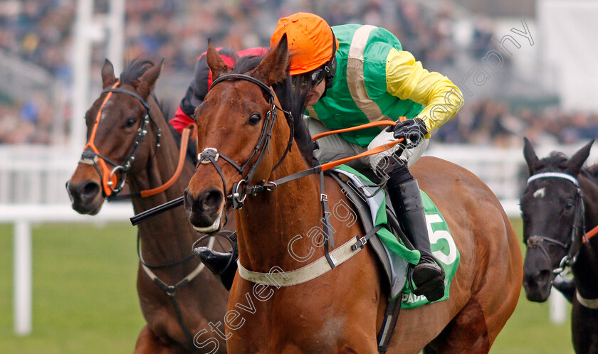 Midnight-Shadow-0004 
 MIDNIGHT SHADOW (Danny Cook) wins The Paddy Power Broken Resolutions Already Dipper Novices Chase
Cheltenham 1 Jan 2020 - Pic Steven Cargill / Racingfotos.com