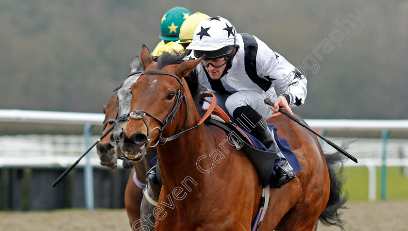 Curtiz-0005 
 CURTIZ (Charlie Bennett) wins The Heed Your Hunch At Betway Handicap
Lingfield 27 Jan 2021 - Pic Steven Cargill / Racingfotos.com