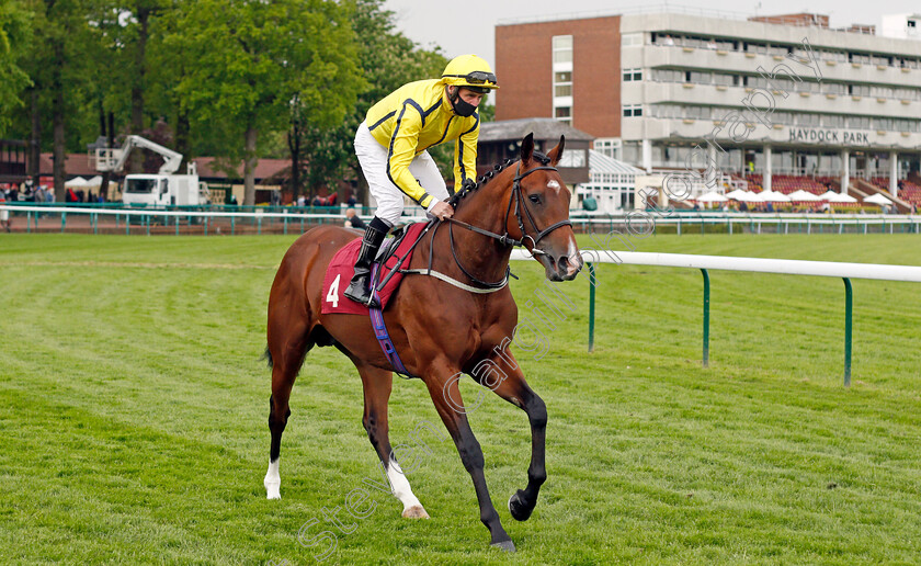 Neat-And-Dandy-0001 
 NEAT AND DANDY (Tony Hamilton)
Haydock 28 May 2021 - Pic Steven Cargill / Racingfotos.com