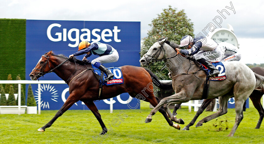 Accidental-Agent-0003 
 ACCIDENTAL AGENT (left, Charles Bishop) beats LORD GLITTERS (right) in The Totescoop6 Challenge Cup Ascot 7 Oct 2017 - Pic Steven Cargill / Racingfotos.com