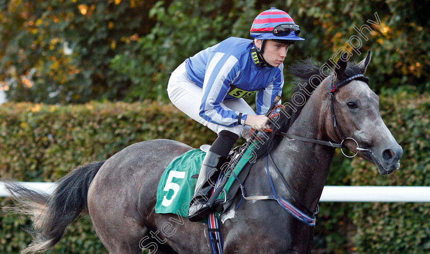 Delicious-0001 
 DELICIOUS (Callum Shepherd)
Kempton 18 Sep 2018 - Pic Steven Cargill / Racingfotos.com