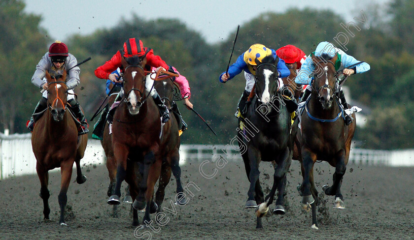 Ledham-0002 
 LEDHAM (2nd right, Ryan Moore) beats HOMBRE CASADO (2nd left) and SIR HAMILTON (right) in The 32Red Handicap
Kempton 18 Sep 2018 - Pic Steven Cargill / Racingfotos.com