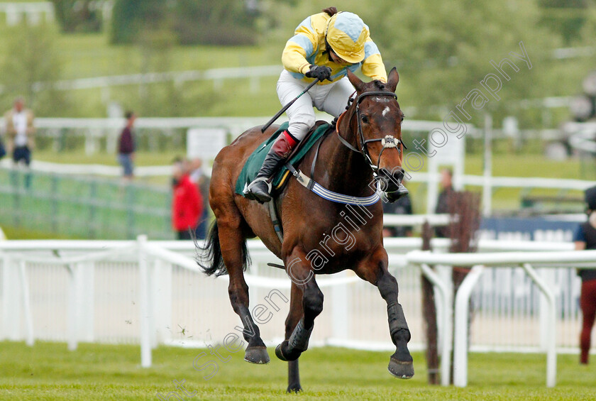 Popaway-0004 
 POPAWAY (Immy Robinson) wins The Visit cheltenham.com Mares Open Hunters Chase Cheltenham 4 May 2018 - Pic Steven Cargill / Racingfotos.com