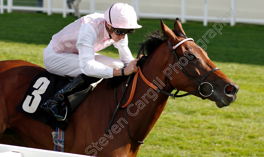 Alexana-0005 
 ALEXANA (James Doyle) wins The Garden For All Seasons Novice Stakes
Ascot 7 Sep 2018 - Pic Steven Cargill / Racingfotos.com