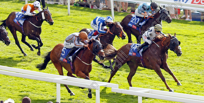 Summerghand-and-Albasheer-0001 
 SUMMERGHAND (left, Daniel Tudhope) and ALBASHEER (right) dead-heat in The Sky Bet Constantine Handicap
York 26 Aug 2023 - Pic Steven Cargill / Racingfotos.com