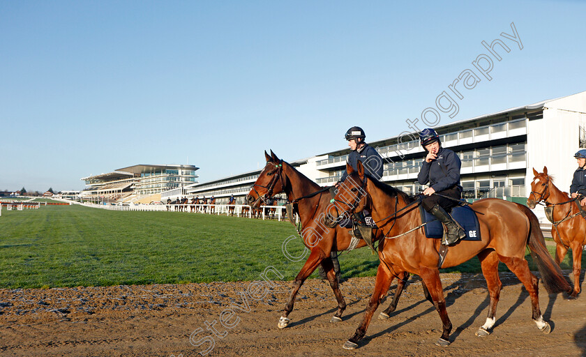 Mighty-Potter-and-Death-Duty-0001 
 MIGHTY POTTER and DEATH DUTY exercising on the eve of the Cheltenham Festival
Cheltenham 14 Mar 2022 - Pic Steven Cargill / Racingfotos.com