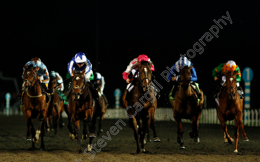 Group-One-Power-0002 
 GROUP ONE POWER (2nd left, Rob Hornby) beats ENDURED (centre) in The 32Red On The App Store Maiden Stakes Div2
Kempton 29 Jan 2020 - Pic Steven Cargill / Racingfotos.com