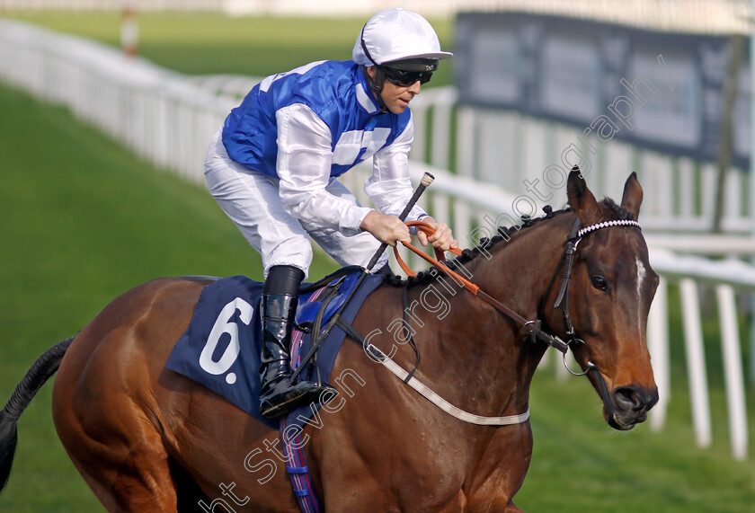 Jean-Baptiste-0001 
 JEAN BAPTISTE (Ben Curtis)
Doncaster 2 Apr 2023 - Pic Steven Cargill / Racingfotos.com