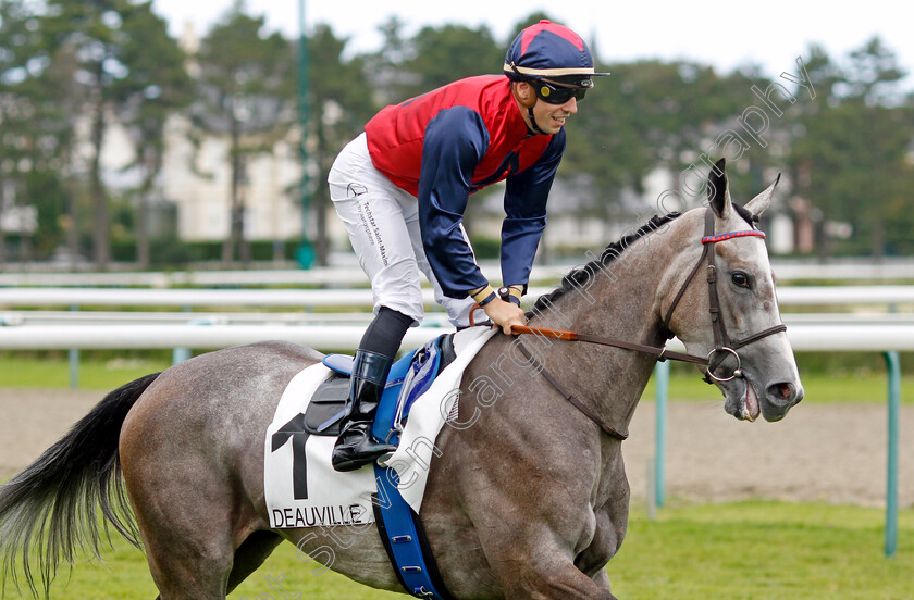 Dschingis-Star-0001 
 DSCHINGIS STAR (C Demuro)
Deauville 13 Aug 2023 - Pic Steven Cargill / Racingfotos.com