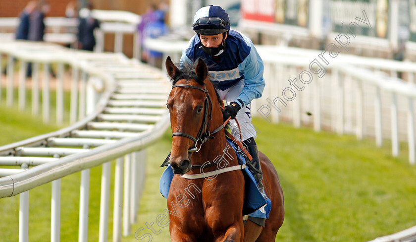 Mattice-0001 
 MATTICE (David Allan)
York 13 May 2021 - Pic Steven Cargill / Racingfotos.com