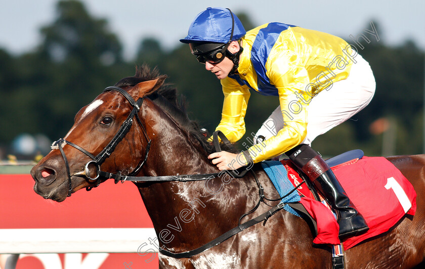 Dubai-Warrior-0008 
 DUBAI WARRIOR (Robert Havlin) wins The Matchbook Betting Exchange Novice Stakes
Kempton 7 Aug 2019 - Pic Steven Cargill / Racingfotos.com