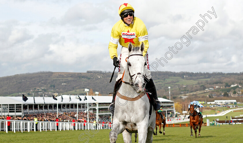 Politologue-0006 
 POLITOLOGUE (Harry Skelton) wins The Betway Queen Mother Champion Chase
Cheltenham 11 Mar 2020 - Pic Steven Cargill / Racingfotos.com