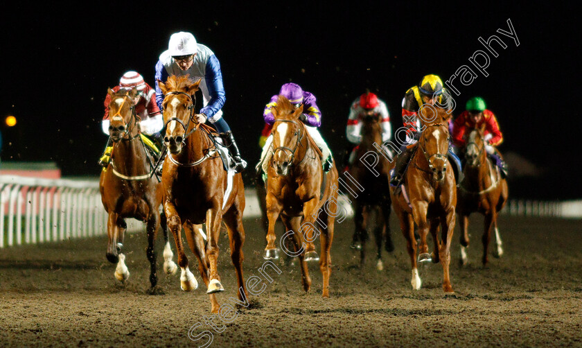 Ebury-0004 
 EBURY (Rob Hornby) wins The Matchbook Casino Novice Stakes Div2
Kempton 6 Mar 2019 - Pic Steven Cargill / Racingfotos.com