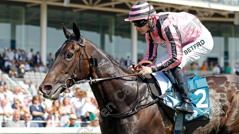 Chichester-0002 
 CHICHESTER (Richard Kingscote) wins The Seat Unique Ganton Stakes
York 16 Jun 2023 - Pic Steven Cargill / Racingfotos.com