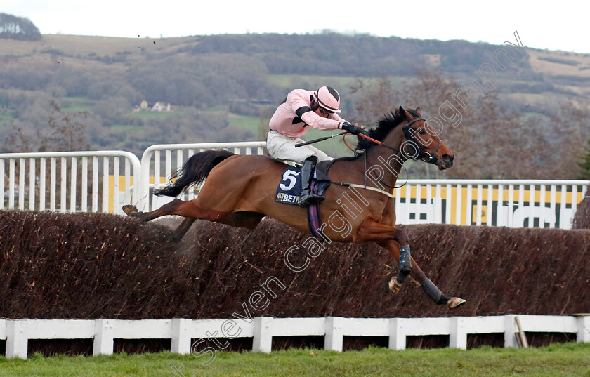 Issar-d Airy-0002 
 ISSAR D'AIRY (Freddie Mitchell)
Cheltenham 14 Dec 2024 - Pic Steven Cargill / Racingfotos.com