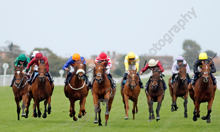 Wynter-Wildes-0005 
 WYNTER WILDES (centre, Mikkel Mortensen) wins The British EBF Premier Fillies Handicap
Yarmouth 20 Sep 2023 - Pic Steven Cargill / Racingfotos.com