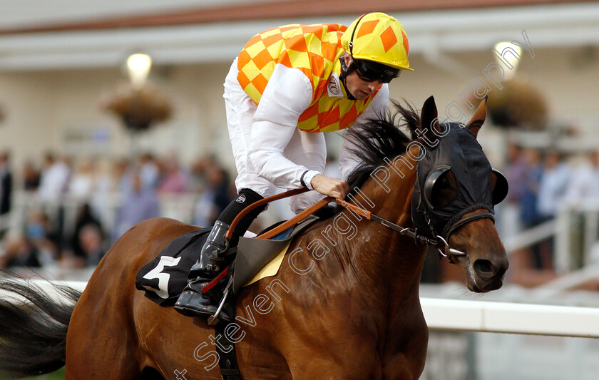 Storm-Shelter-0008 
 STORM SHELTER (Jack Mitchell) wins The Bet toteexacta At totesport.com Nursery
Chelmsford 6 Sep 2018 - Pic Steven Cargill / Racingfotos.com