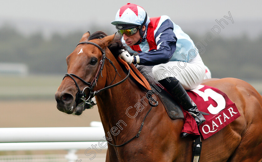 Sir-Dancealot-0006 
 SIR DANCEALOT (Gerald Mosse) wins The Qatar Lennox Stakes
Goodwood 30 Jul 2019 - Pic Steven Cargill / Racingfotos.com