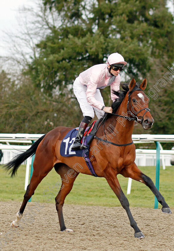 Shimmering-0002 
 SHIMMERING (Robert Havlin) winner of The Ladbrokes Home Of The Odds Boost EBF Novice Stakes
Lingfield 18 Dec 2019 - Pic Steven Cargill / Racingfotos.com