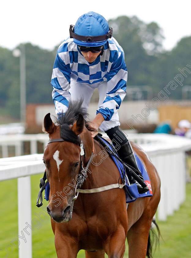 Maria-Branwell 
 MARIA BRANWELL (Kieran Shoemark)
York 18 Aug 2022 - Pic Steven Cargill / Racingfotos.com