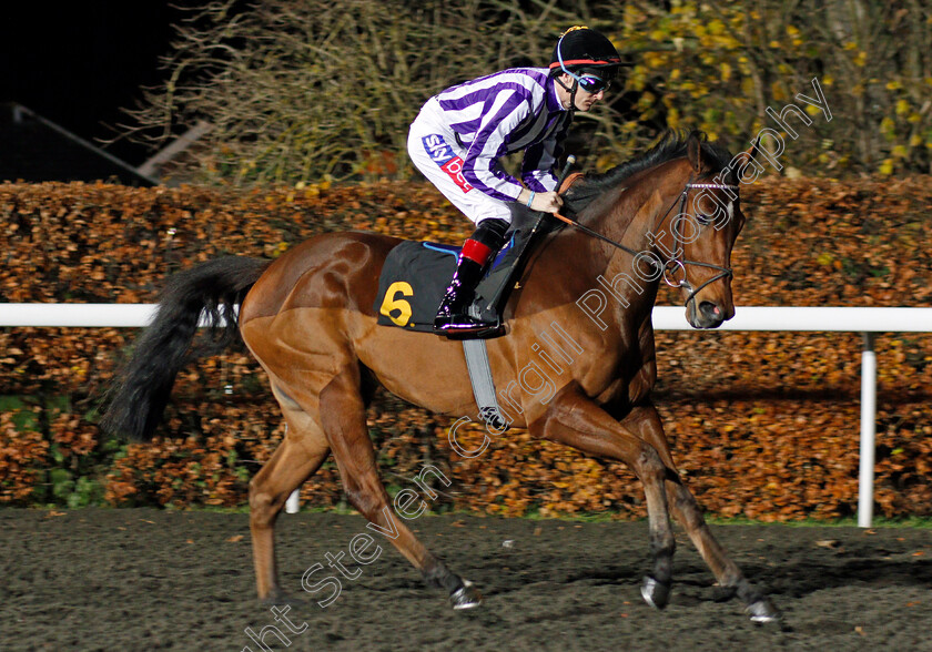 I-Can-0001 
 I CAN (Fran Berry) Kempton 22 Nov 2017 - Pic Steven Cargill / Racingfotos.com