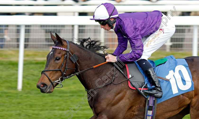 Queen-Olly-0005 
 QUEEN OLLY (Rossa Ryan) wins The Frank Whittle Partnership ebfstallions.com Maiden Stakes
York 12 May 2022 - Pic Steven Cargill / Racingfotos.com