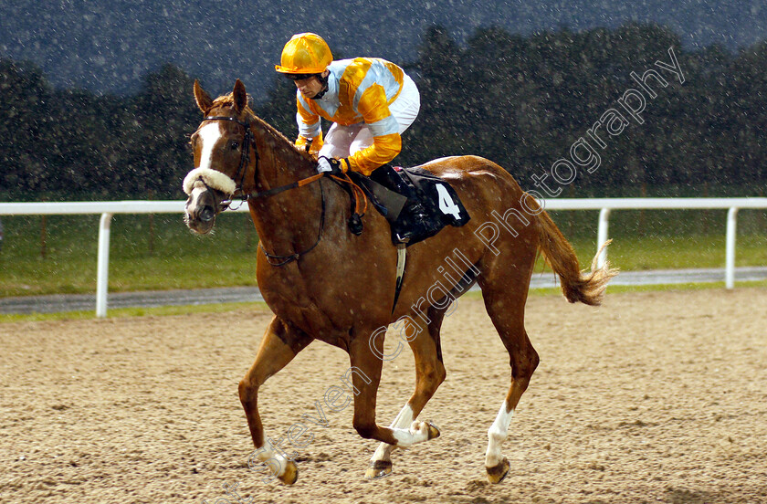 Pivello-0001 
 PIVELLO (Jack Mitchell)
Chelmsford 6 Sep 2018 - Pic Steven Cargill / Racingfotos.com