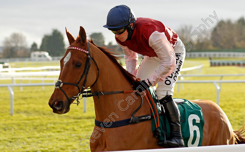 Bentelimar-0001 
 BENTELIMAR (J J Burke) Cheltenham 16 Dec 2017 - Pic Steven Cargill / Racingfotos.com