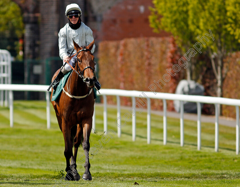 Dubai-Fountain-0011 
 DUBAI FOUNTAIN (Franny Norton) after The Weatherbys ePassport Cheshire Oaks
Chester 5 May 2021 - Pic Steven Cargill / Racingfotos.com