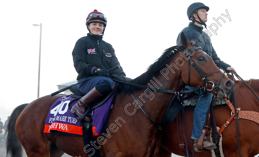 Nashwa-0005 
 NASHWA (Hollie Doyle) training for the Breeders' Cup Filly & Mare Turf
Keeneland USA 3 Nov 2022 - Pic Steven Cargill / Racingfotos.com