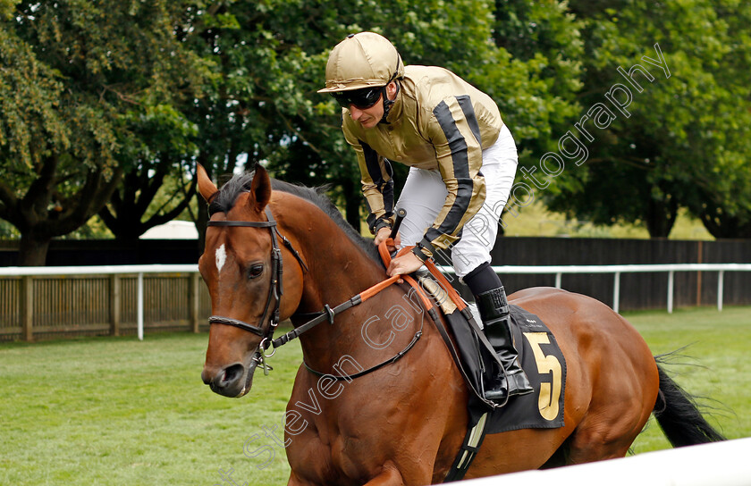 Phantom-Flight-0001 
 PHANTOM FLIGHT (P J McDonald)
Newmarket 1 Jul 2023 - Pic Steven Cargill / Racingfotos.com