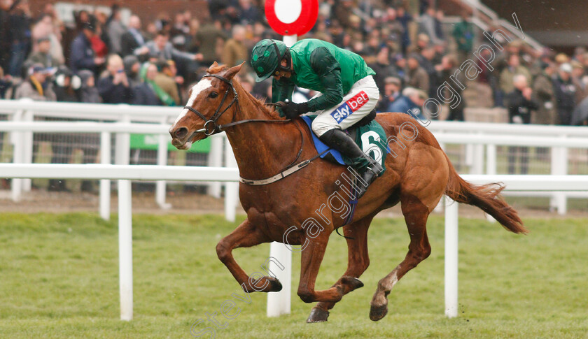 Concertista-0005 
 CONCERTISTA (Daryl Jacob) wins The Daylesford Mares Novices Hurdle
Cheltenham 12 Mar 2020 - Pic Steven Cargill / Racingfotos.com