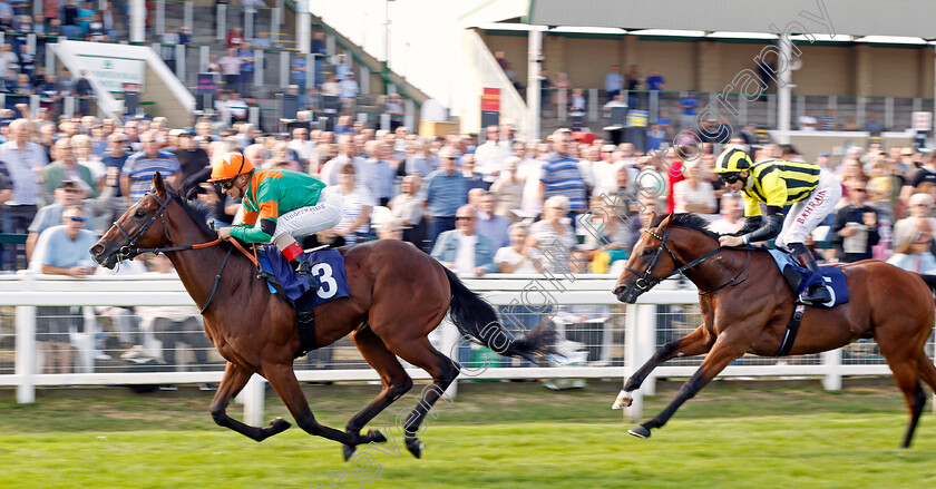 Lord-Of-Biscay-0002 
 LORD OF BISCAY (Andrea Atzeni) wins The EBF Future Stayers Maiden Stakes
Yarmouth 14 Sep 2022 - Pic Steven Cargill / Racingfotos.com