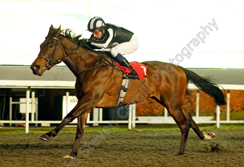 Twirling-0003 
 TWIRLING (William Buick) wins The Unibet Support Safe Gambling Fillies Novice Stakes
Kempton 6 Dec 2023 - Pic Steven Cargill / Racingfotos.com