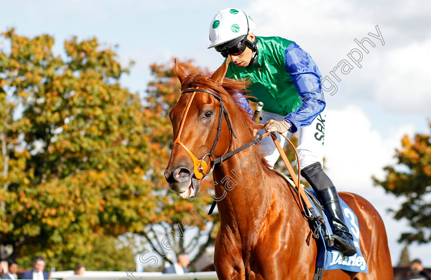 Isaac-Shelby-0001 
 ISAAC SHELBY (Sean Levey)
Newmarket 8 Oct 2022 - Pic Steven Cargill / Racingfotos.com