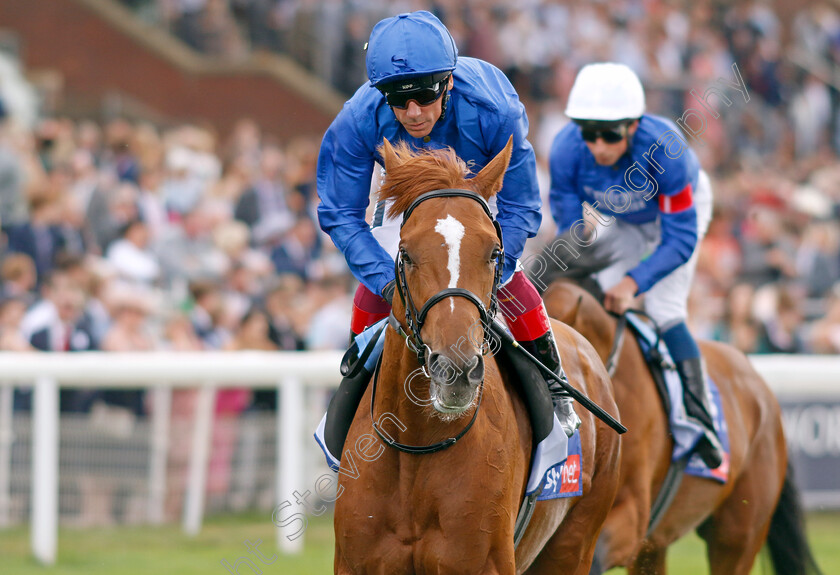 Al-Nafir-0002 
 AL NAFIR (Frankie Dettori)
York 20 Aug 2022 - Pic Steven Cargill / Racingfotos.com