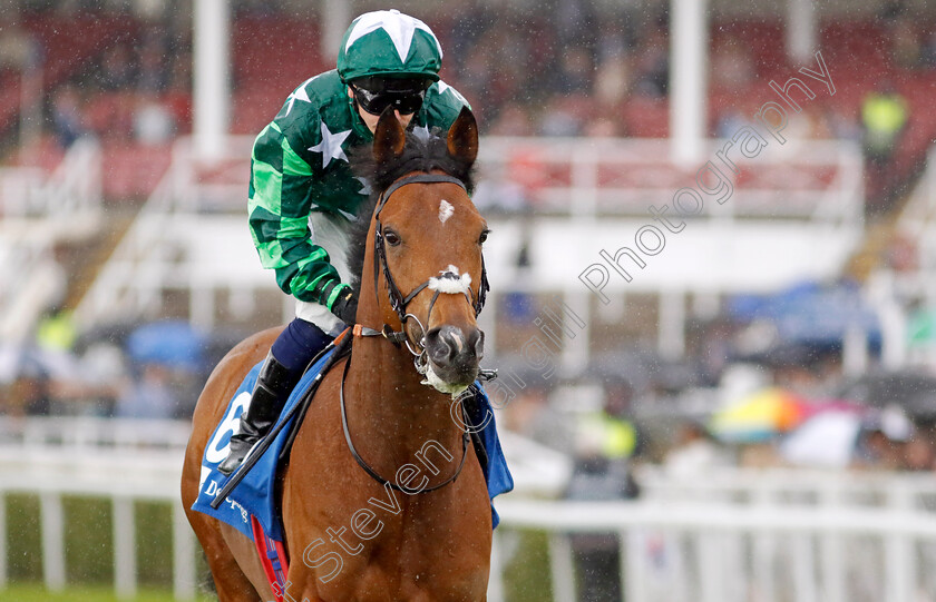 Paddy-The-Squire-0002 
 PADDY THE SQUIRE (Andrew Mullen)
Chester 10 May 2023 - pic Steven Cargill / Racingfotos.com