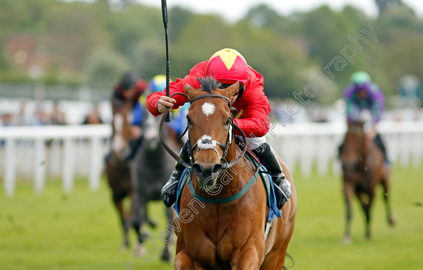 Highfield-Princess-0010 
 HIGHFIELD PRINCESS (Jason Hart) wins The 1895 Duke Of York Clipper Logistics Stakes
York 11 May 2022 - Pic Steven Cargill / Racingfotos.com