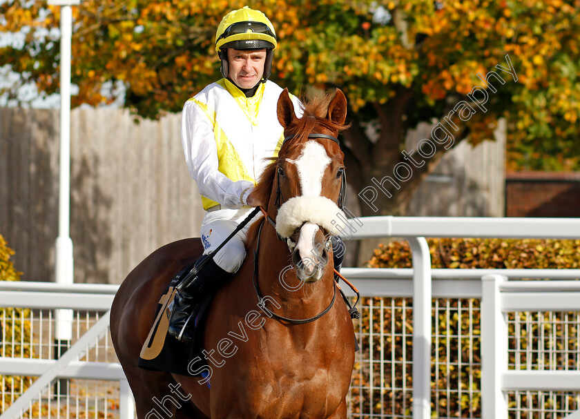 Youm-Saeed-0001 
 YOUM SAEED (Tom Eaves)
Newmarket 19 Oct 2022 - Pic Steven Cargill / Racingfotos.com