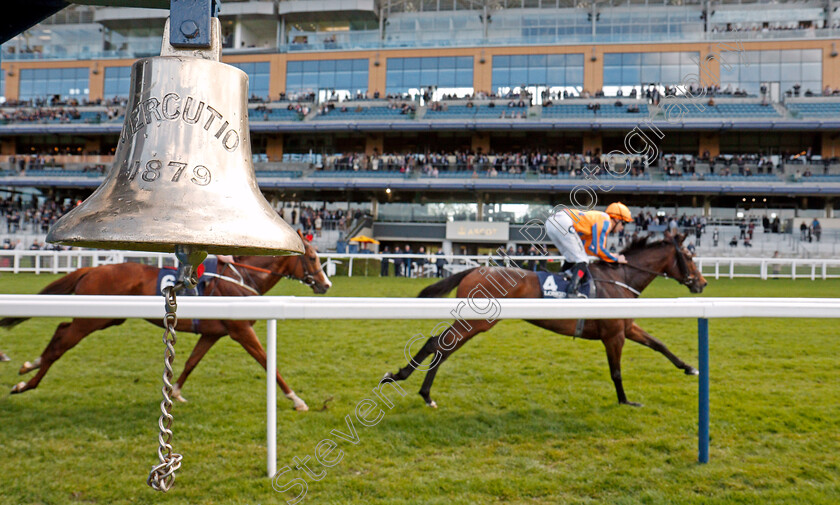 Torcedor-0003 
 TORCEDOR (Colm O'Donoghue) wins The Longines Sagaro Stakes Ascot 2 May 2018 - Pic Steven Cargill / Racingfotos.com