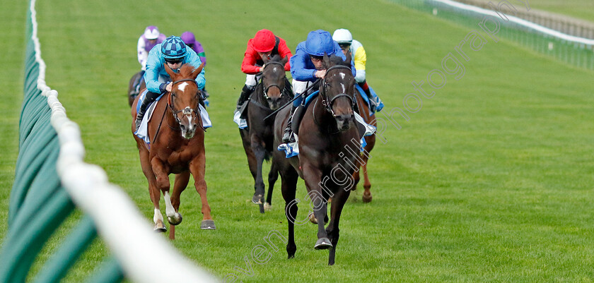 Devoted-Queen-0004 
 DEVOTED QUEEN (William Buick) beats VICARIO (left) in The Godolphin Under Starter Orders Maiden Fillies Stakes Div1
Newmarket 13 Oct 2023 - Pic Steven Cargill / Racingfotos.com